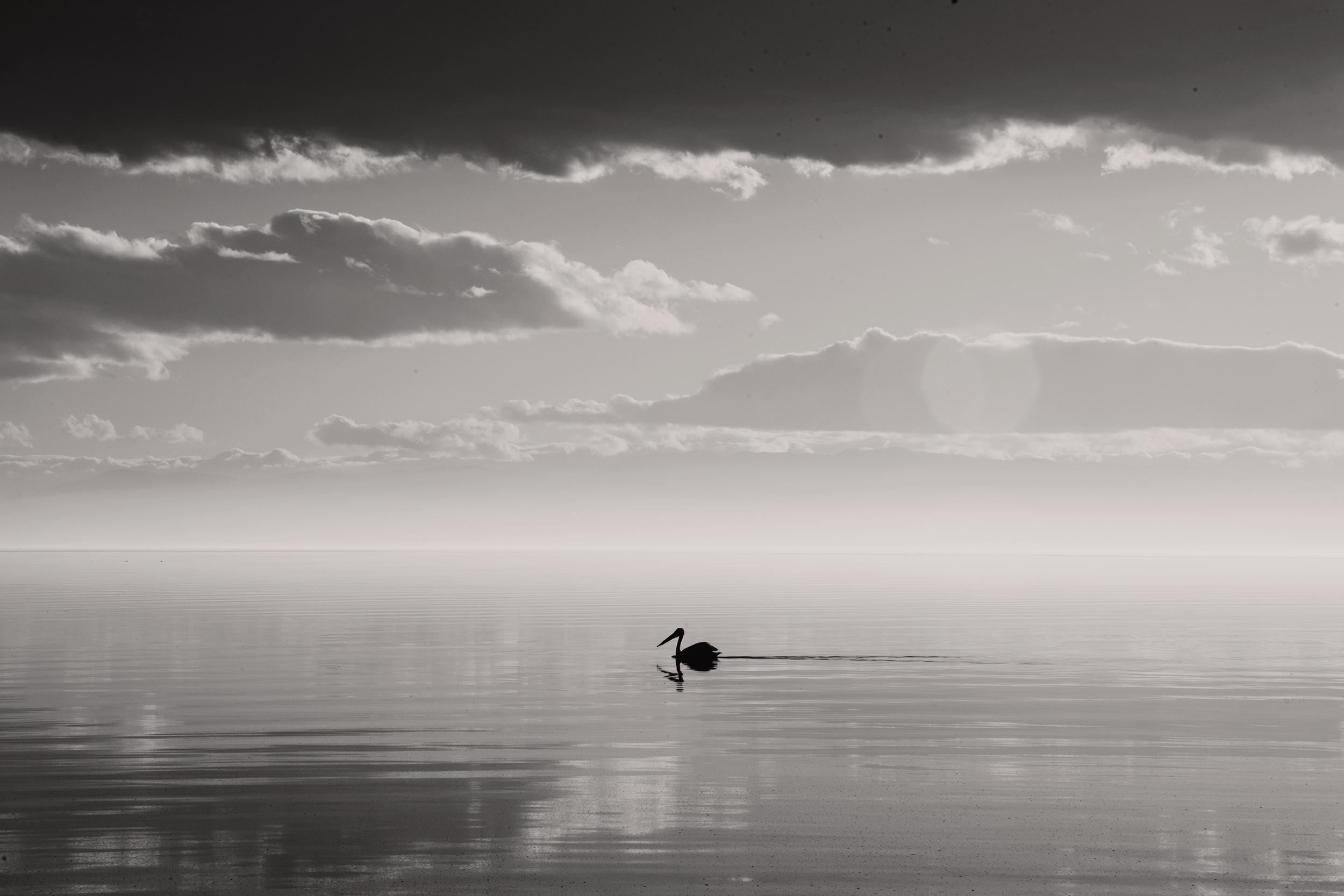 IMAGE_L02_04