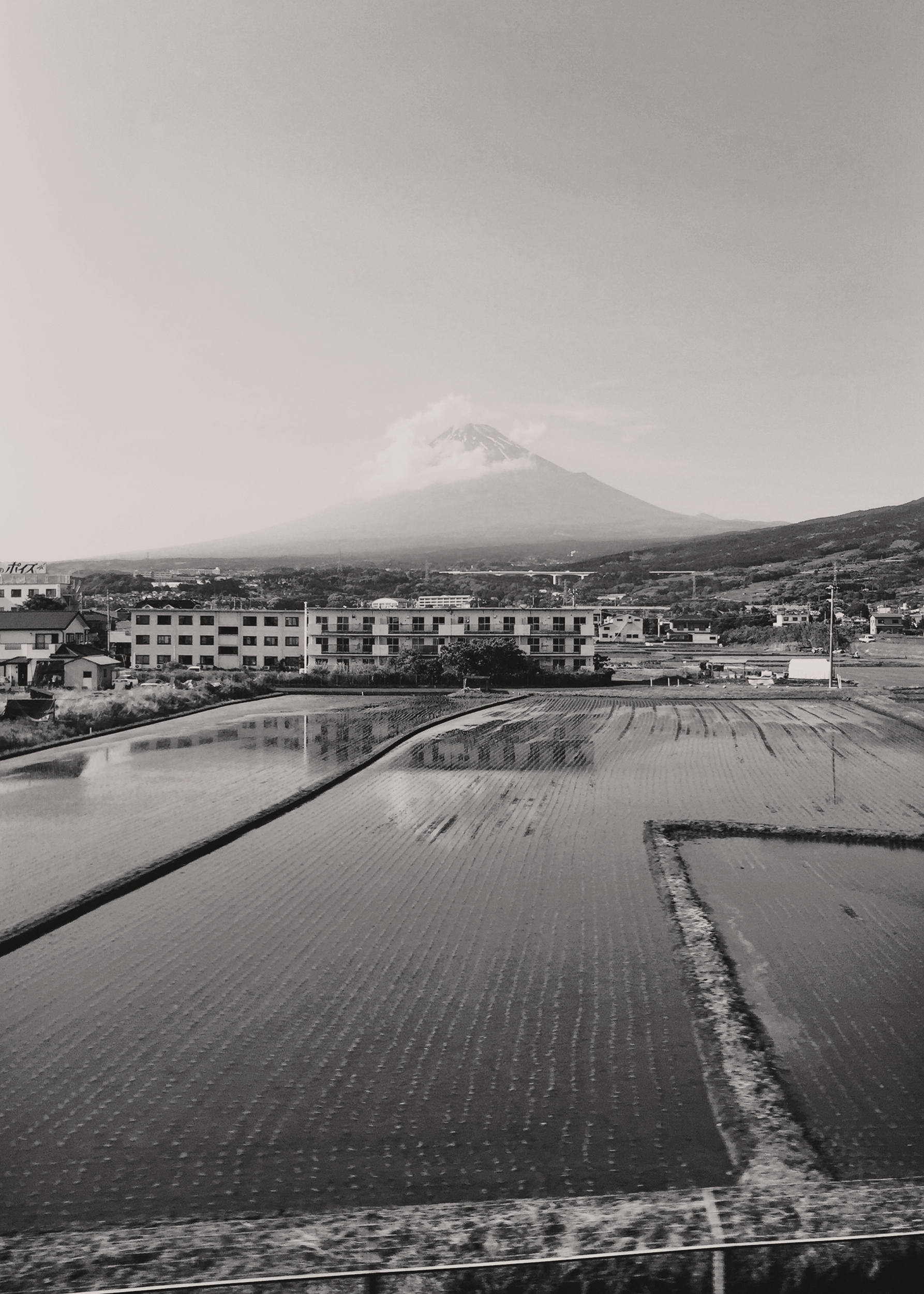 IMAGE_P01_02